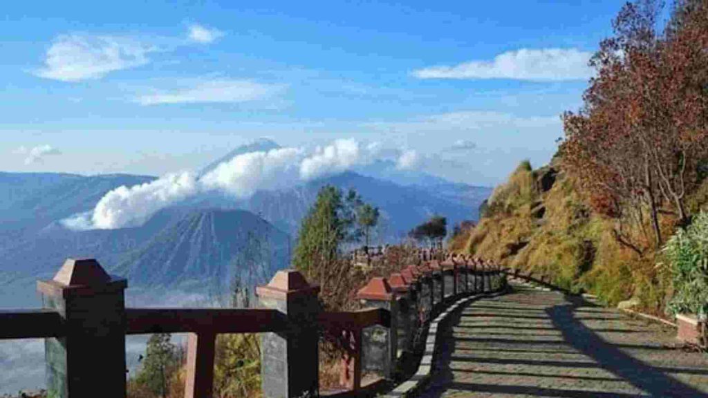 bukit kingkong gunung bromo