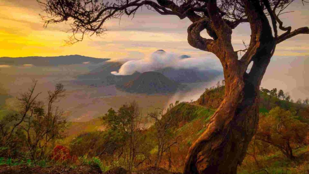 bukit kingkong bromo
