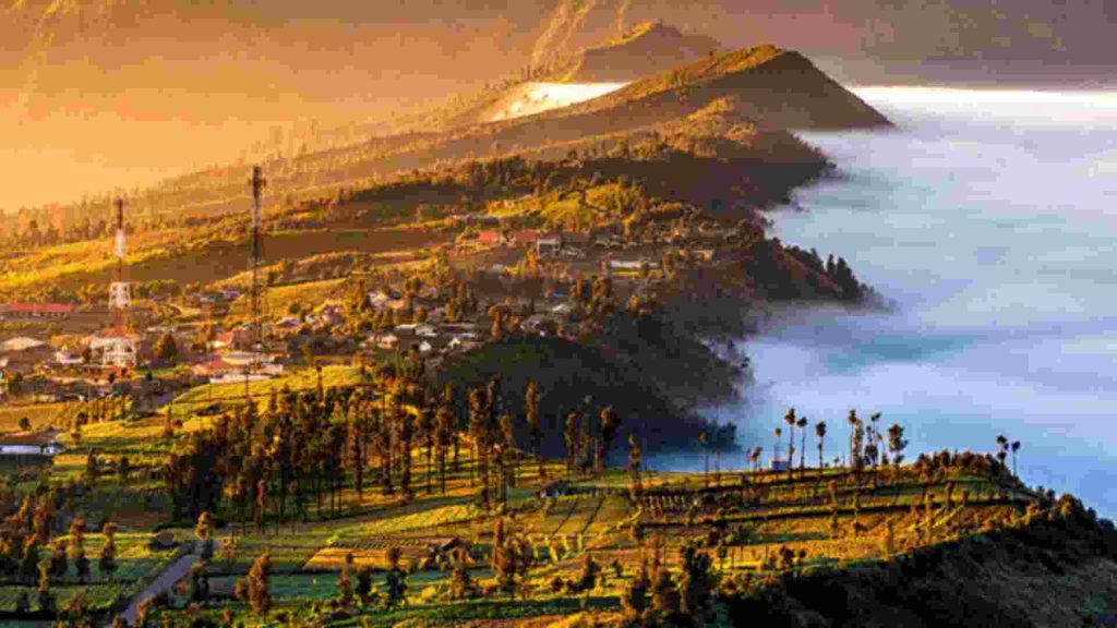 wisata kawah bromo