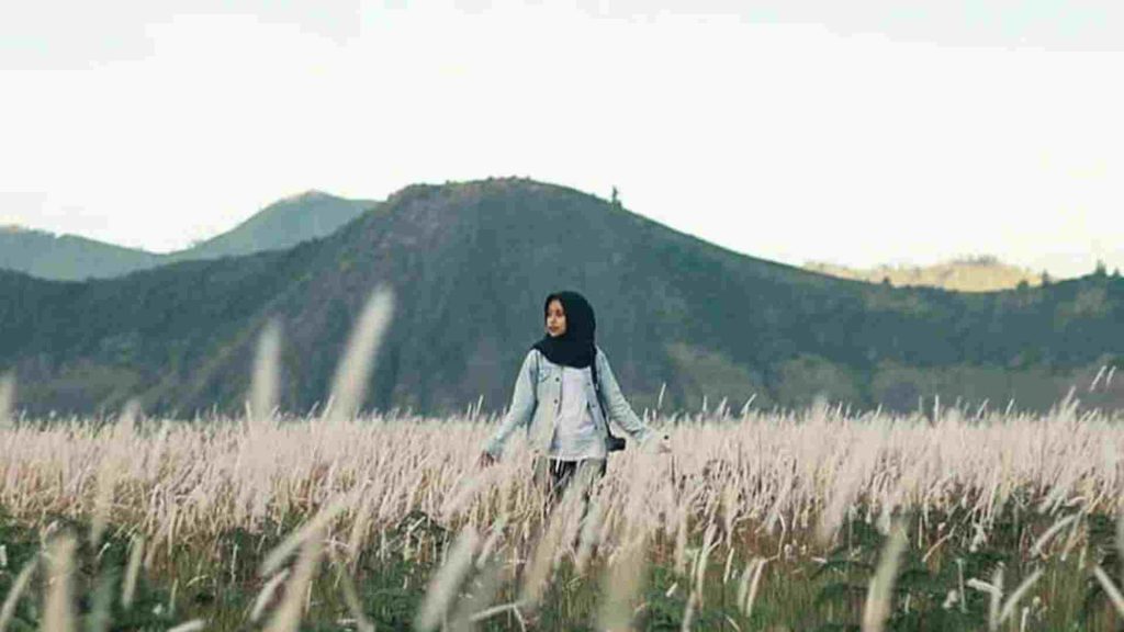 sabana gunung bromo