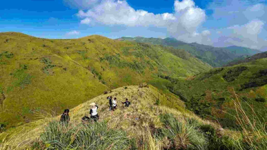 bukit premium pasuruan