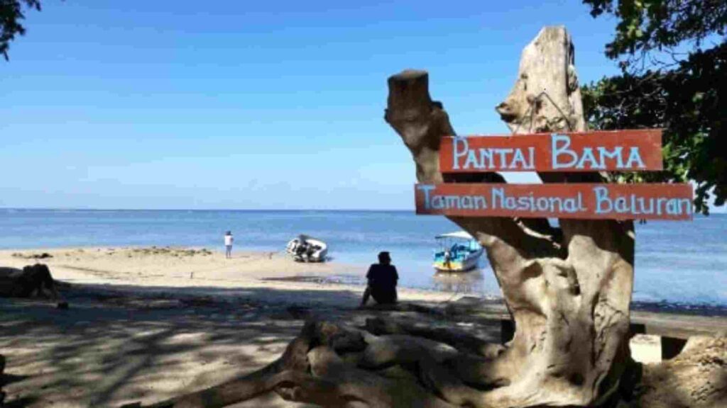 taman nasional baluran