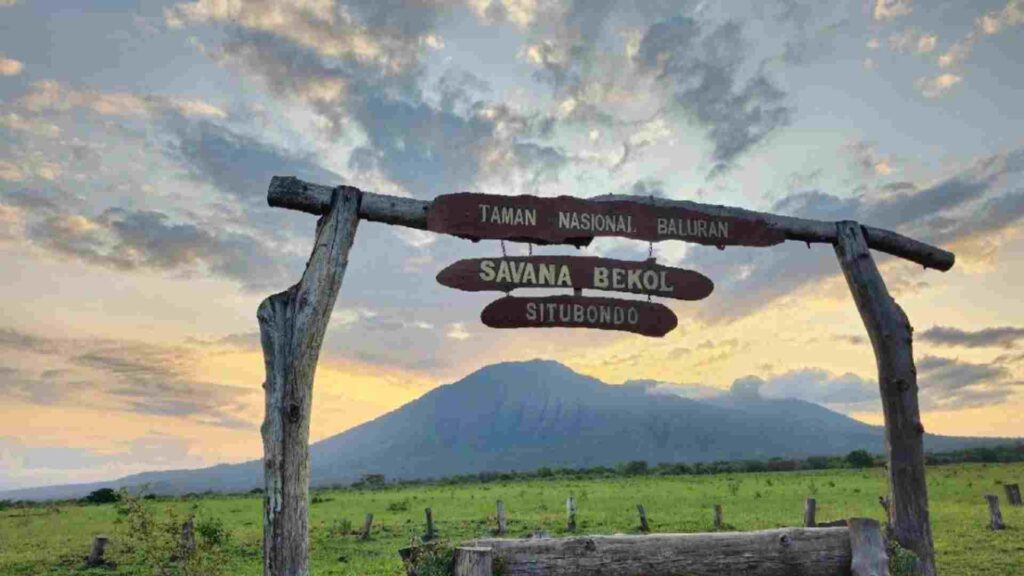 paket wisata baluran