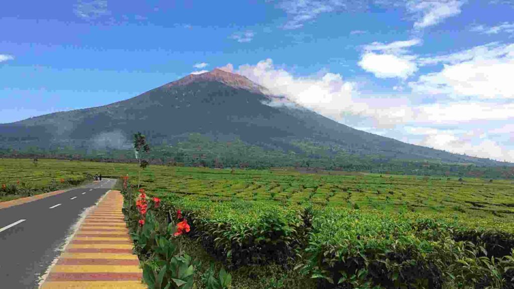 teras semeru
