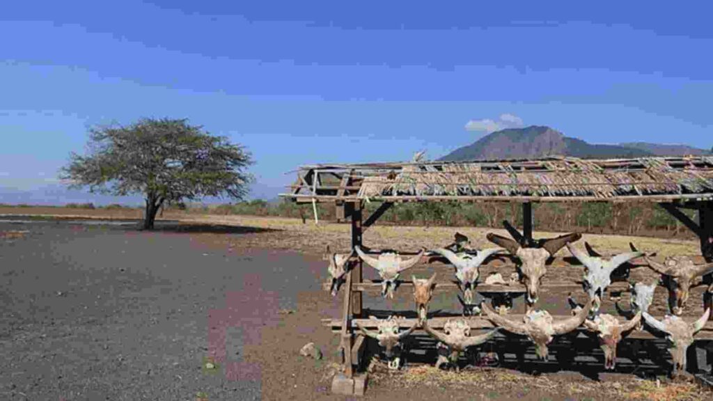 tour baluran park