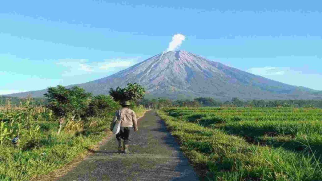 teras semeru