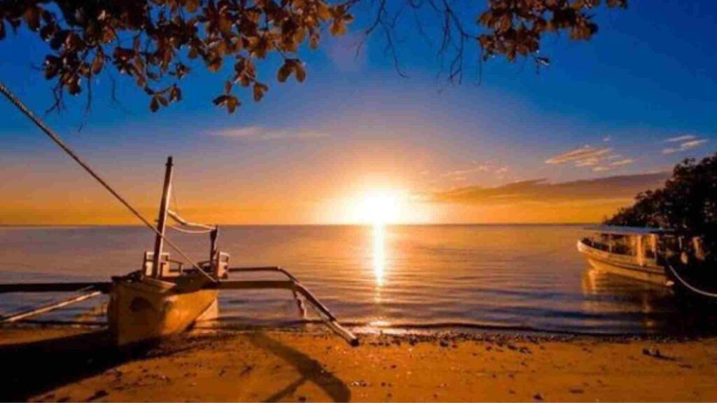 taman nasional baluran