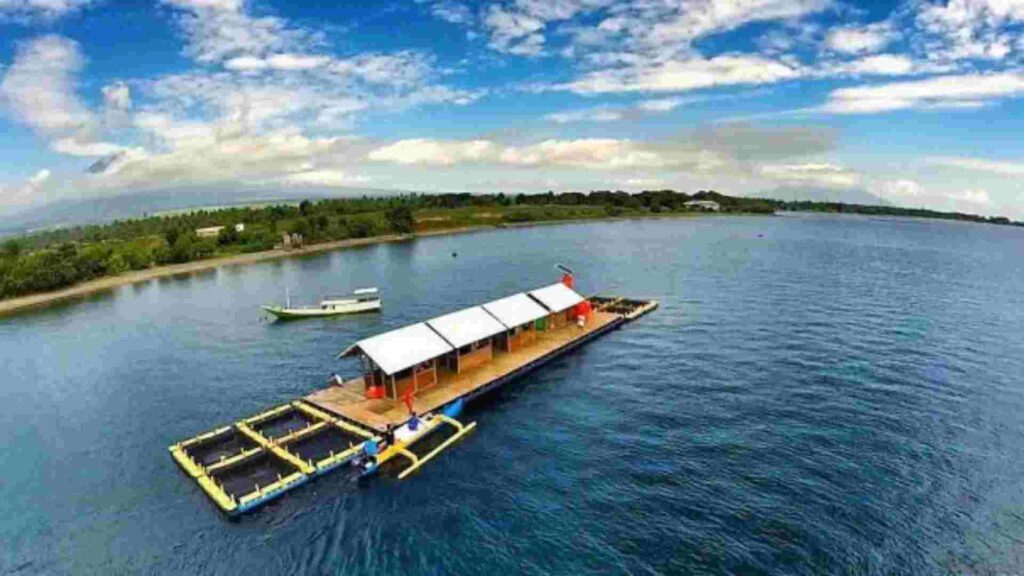 bangsring underwater banyuwangi