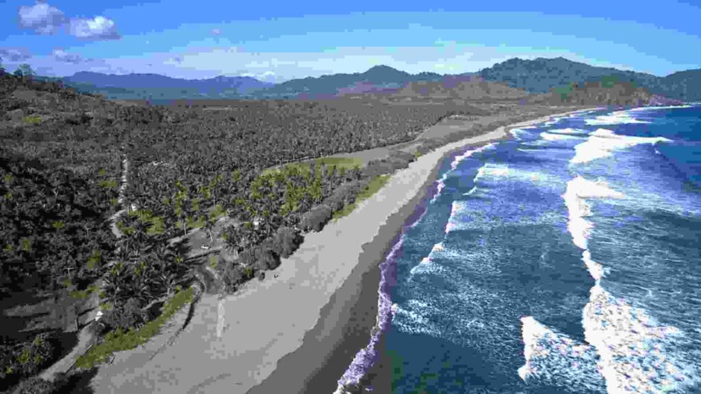 pantai rajegwesi banyuwangi