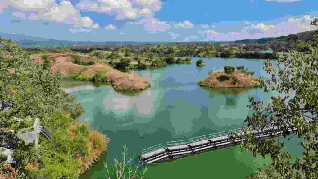 wisata waduk bajulmati banyuwangi