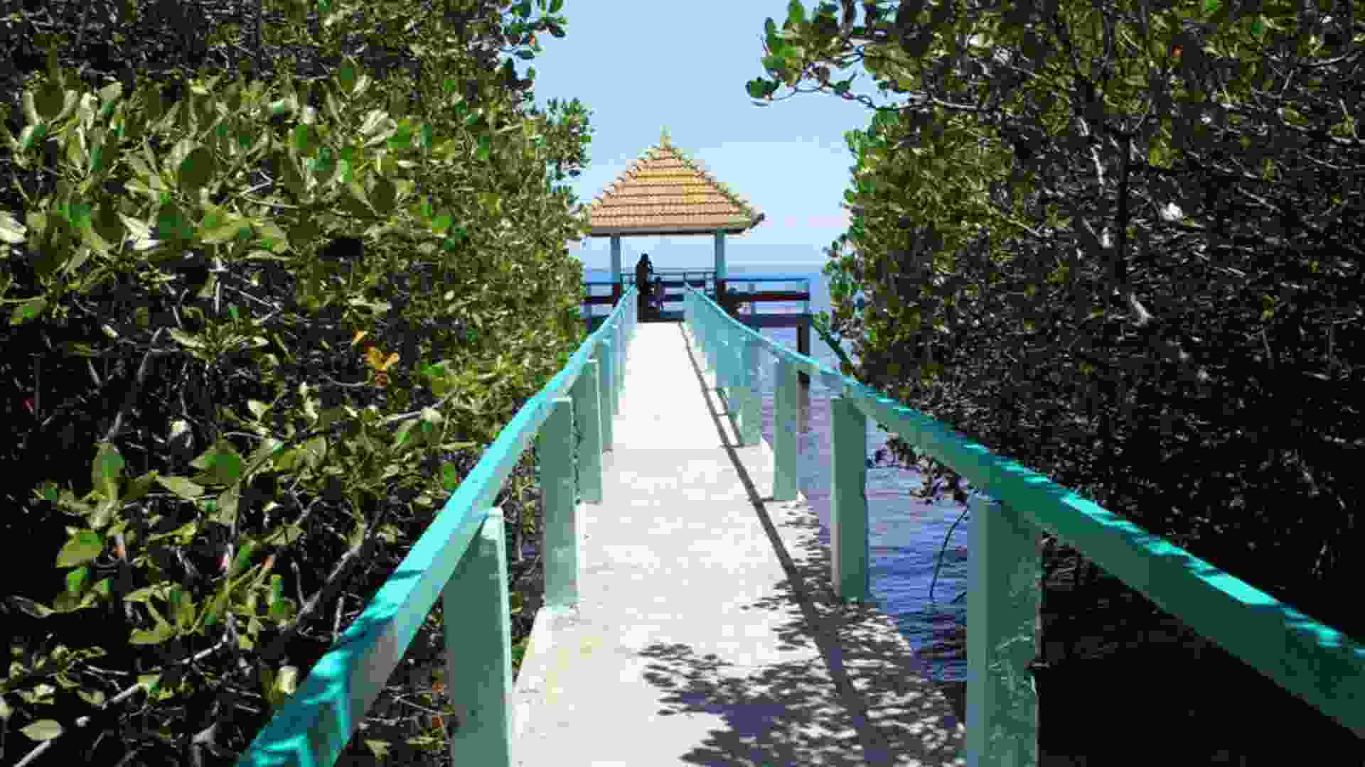 pantai bama baluran