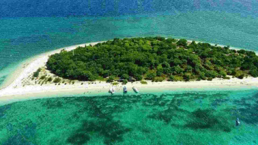 pulau tabuhan banyuwangi