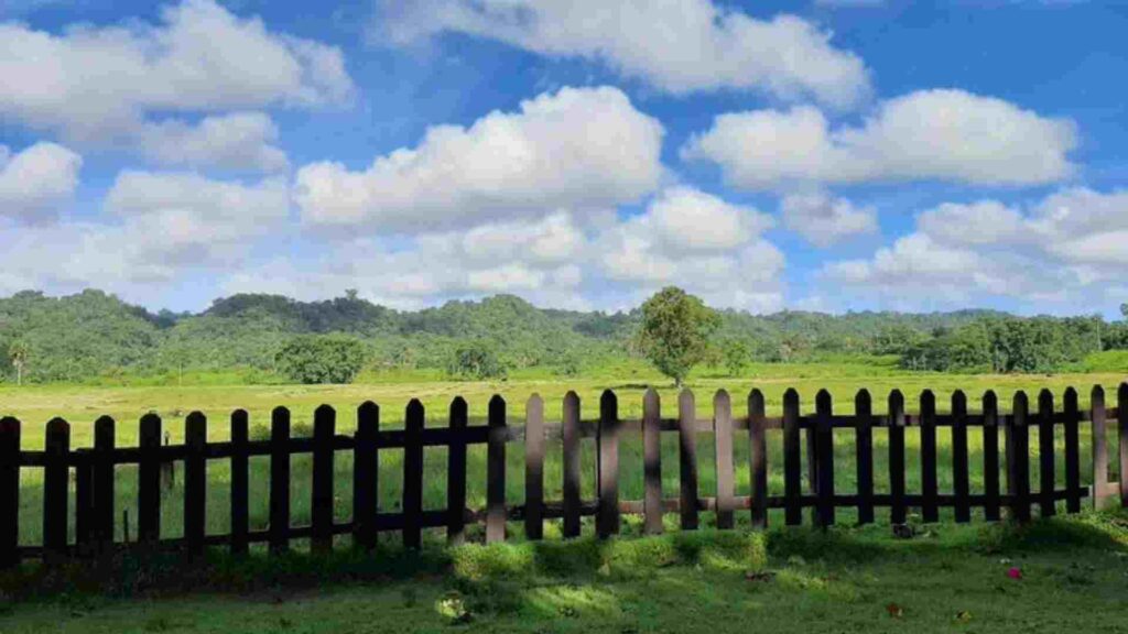 taman nasional alas purwo