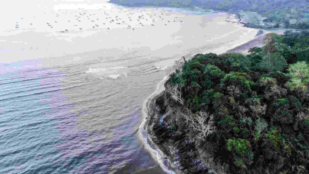 pantai grajagan banyuwangi