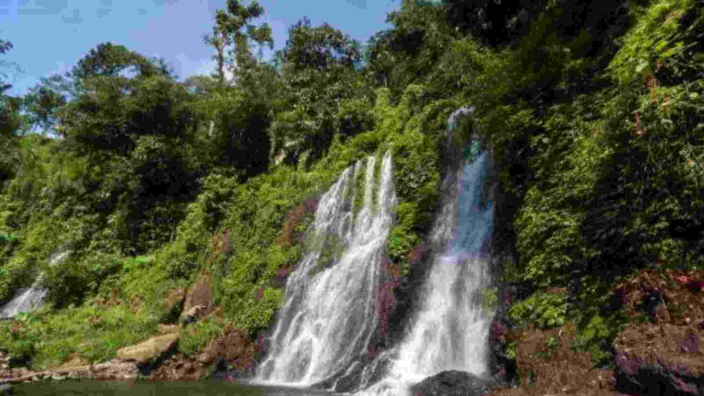 air terjun jagir banyuwangi