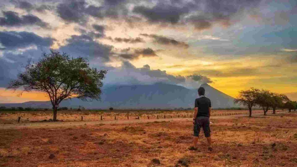 savana bekol baluran