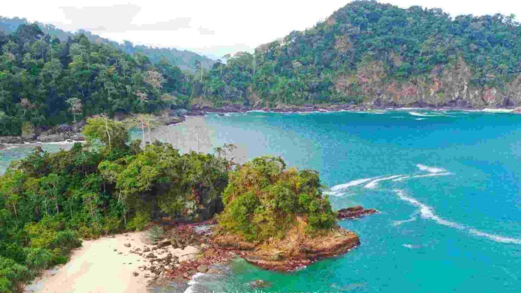 pantai teluk hijau