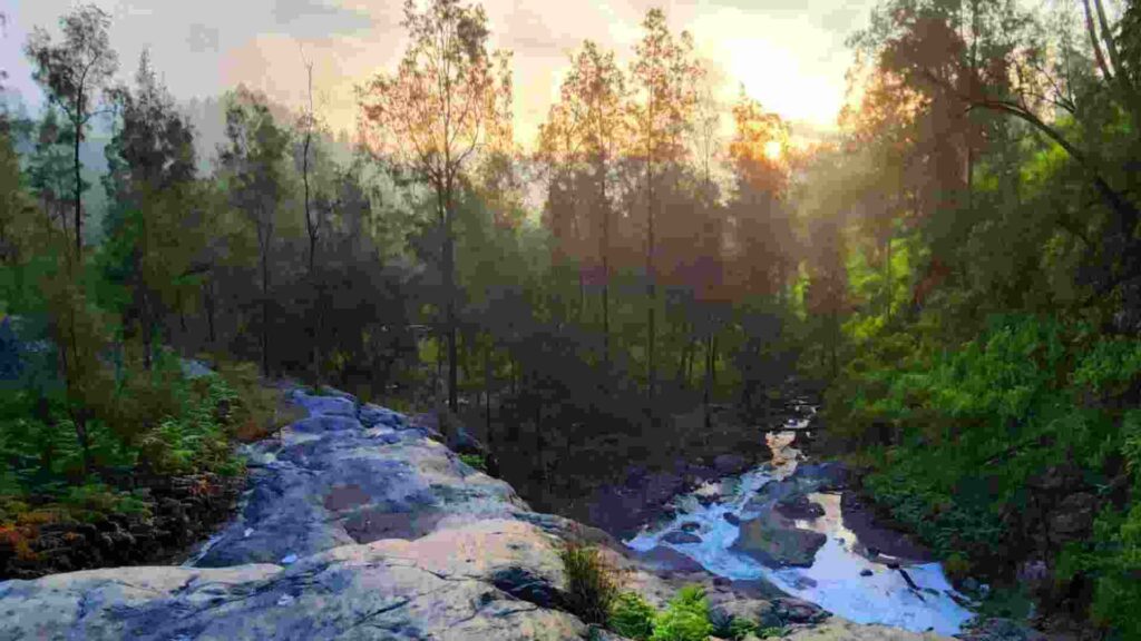 air terjun kalipait banyuwangi