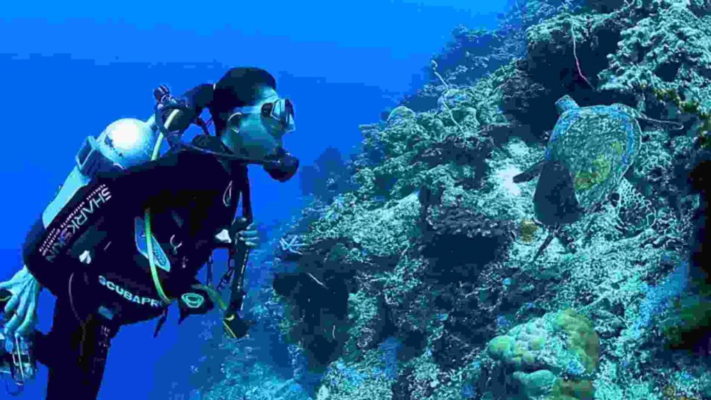bangsring underwater banyuwangi