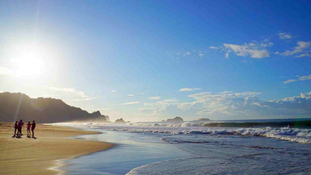 pantai sukamade banyuwangi