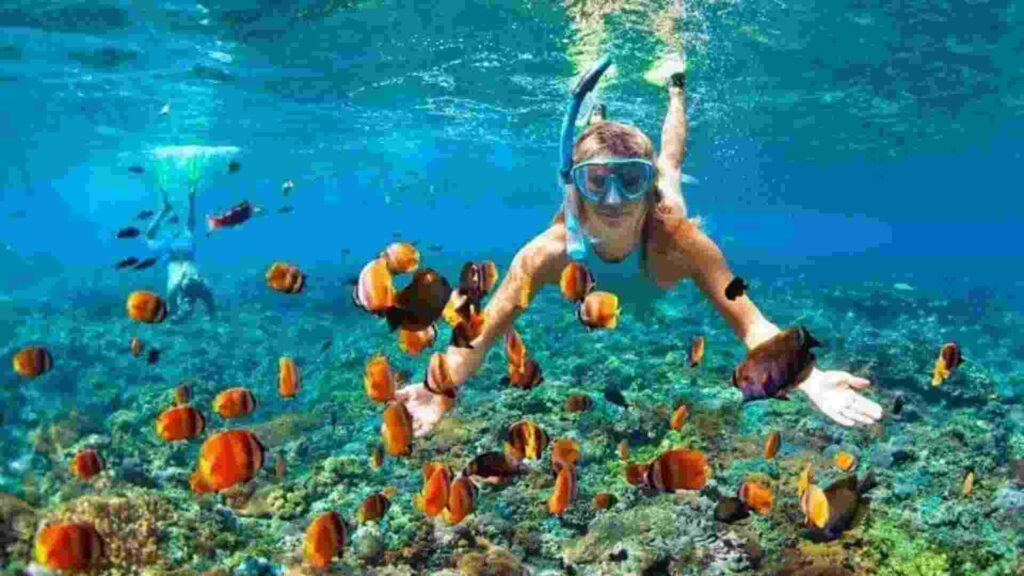 pulau tabuhan banyuwangi