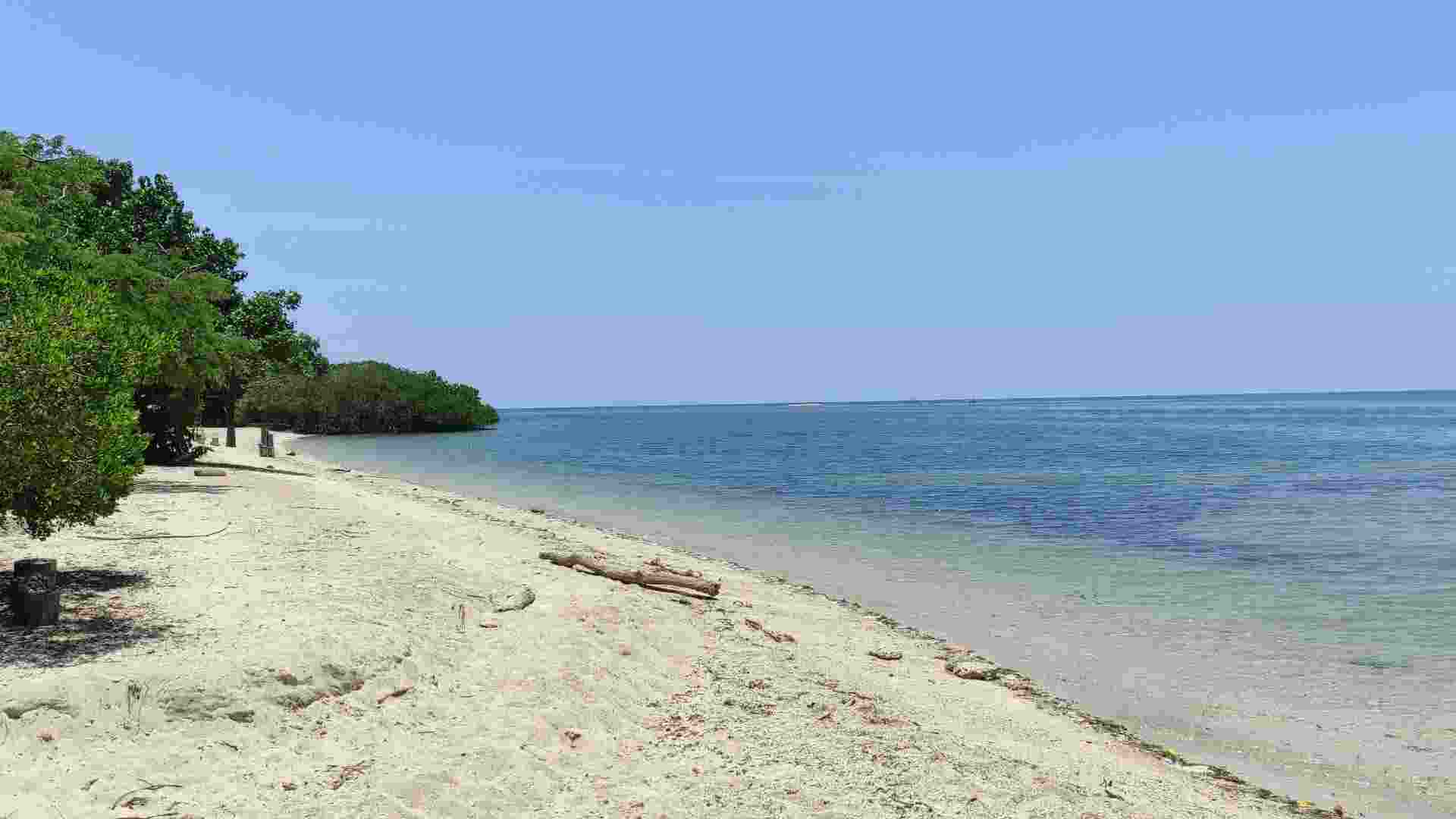 pantai bama baluran