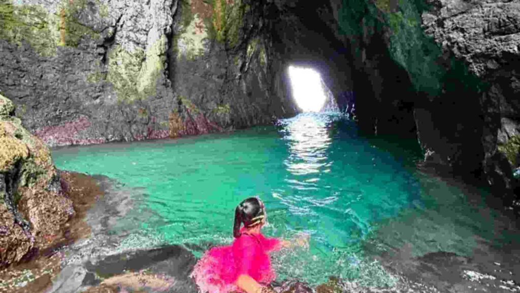 green island banyuwangi