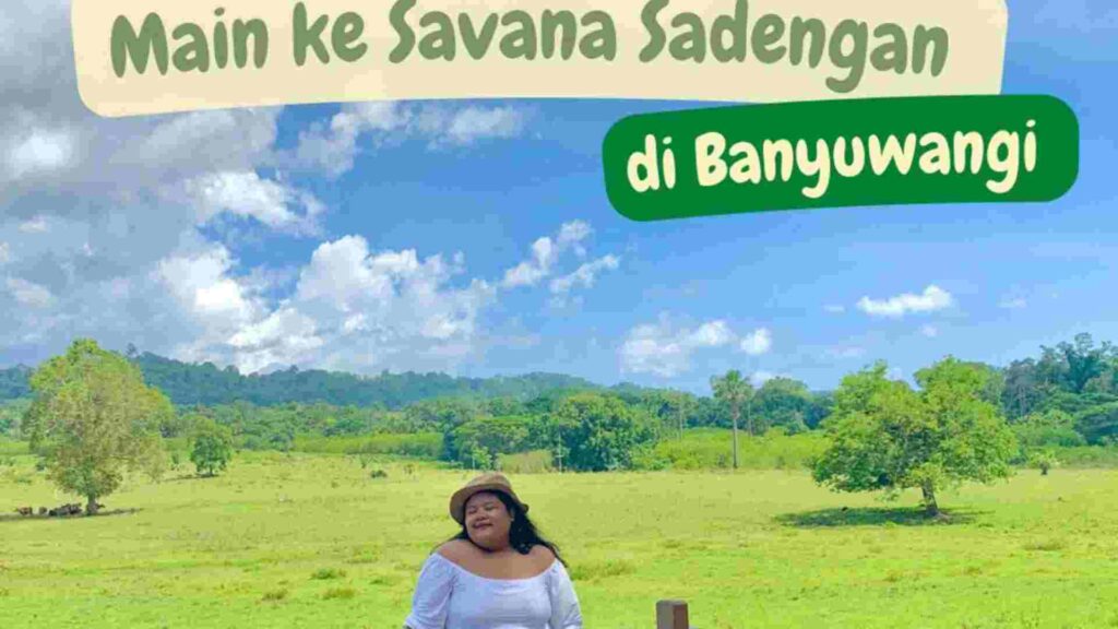 padang savana sadengan banyuwangi