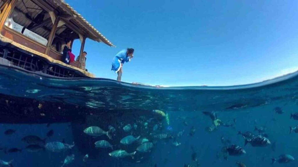 bangsring underwater banyuwangi