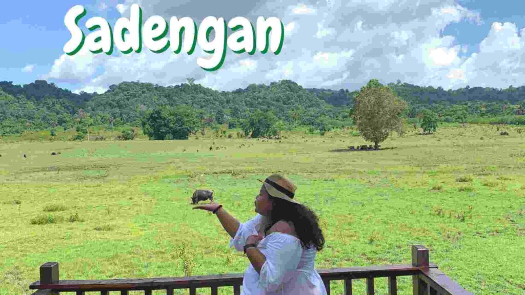 padang savana sadengan banyuwangi