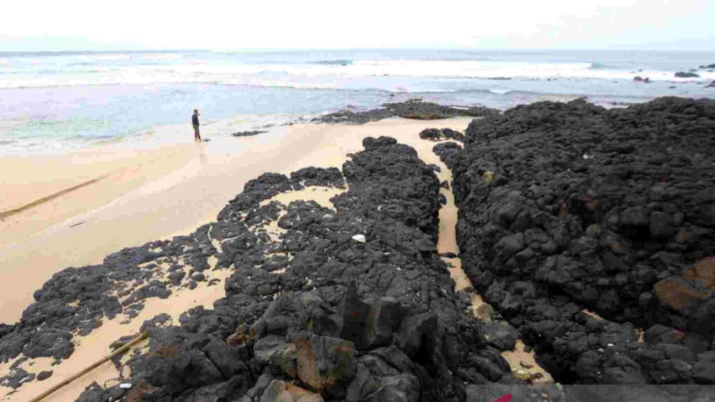 pantai parang ireng banyuwangi