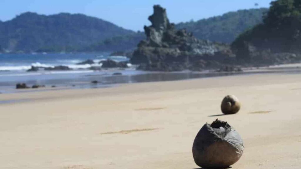 pantai parang kursi banyuwangi