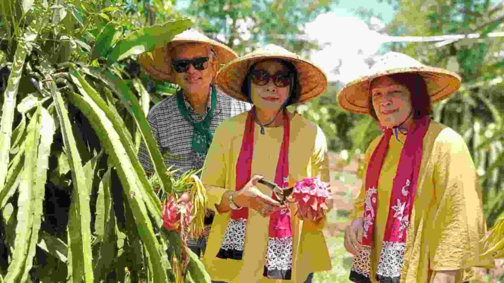 wisata petik buah naga banyuwangi