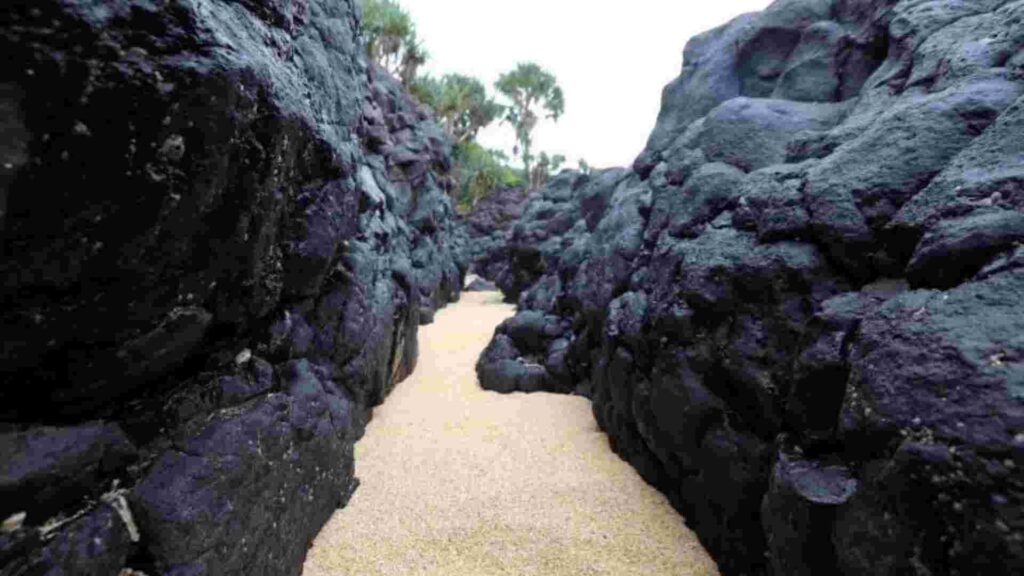pantai parang ireng banyuwangi