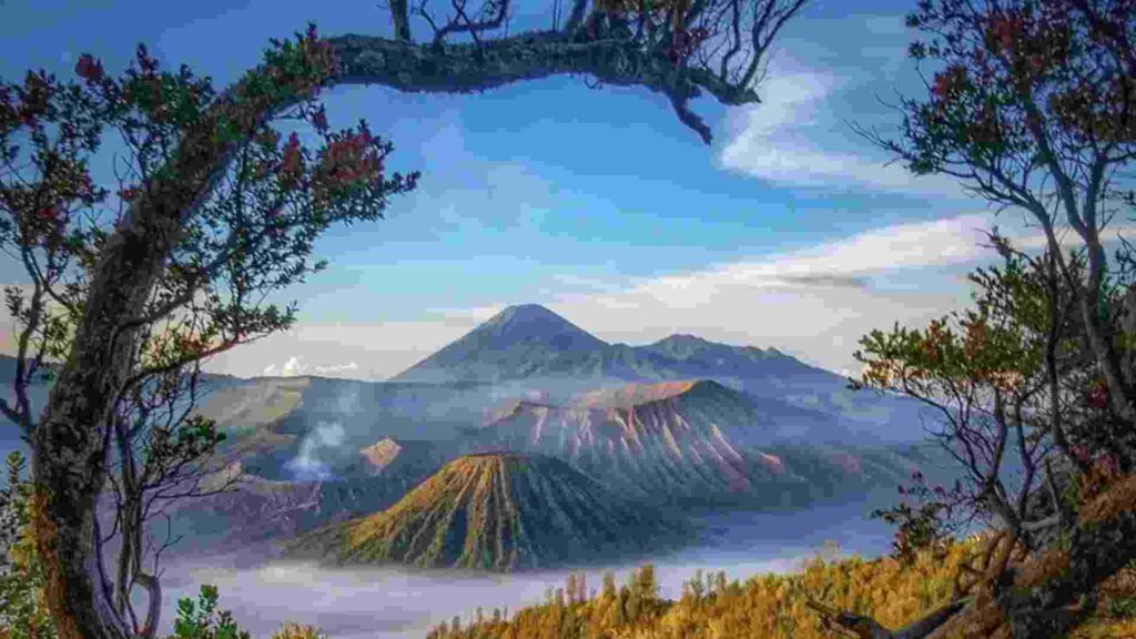 penerbangan malang lombok