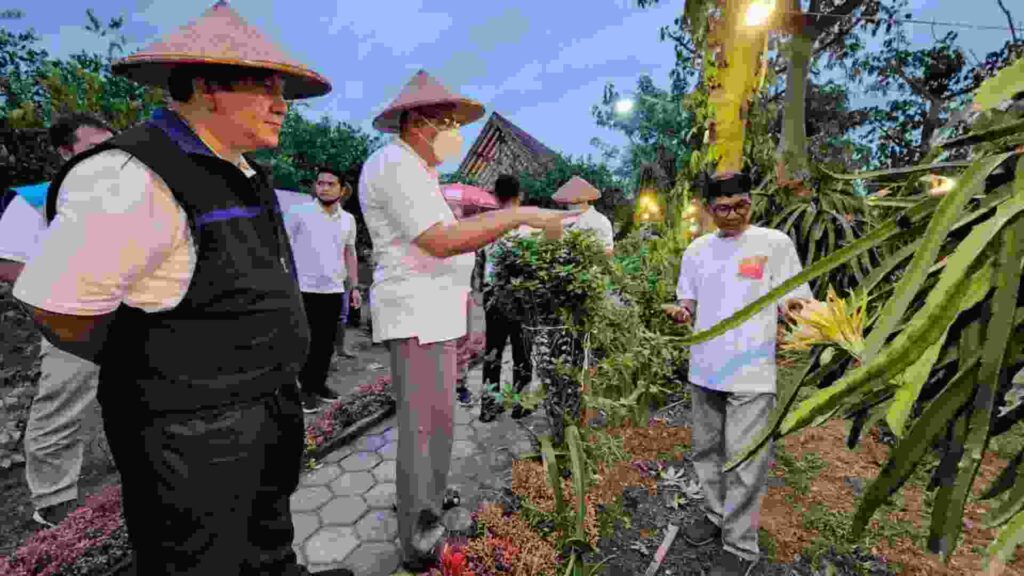 wisata petik buah naga banyuwangi