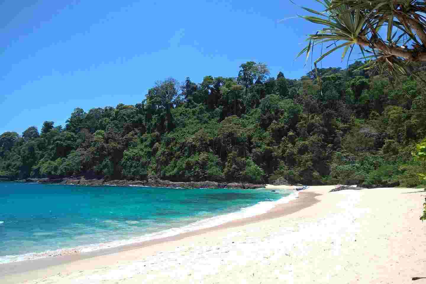 paket wisata green bay banyuwangi